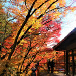 今熊野観音寺の見どころ現地レポ（西国三十三所20番）